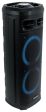 Rockville Go Party ZR10 Dual 10  Portable Wireless LED Bluetooth Speaker+UHF Mic Online now