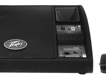 Peavey PV 15PM 15  200 Watt Bi-Amped 2-Way Powered Floor Monitor PV15PM+Blue Mic Online Sale